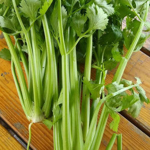 Celery, Tango