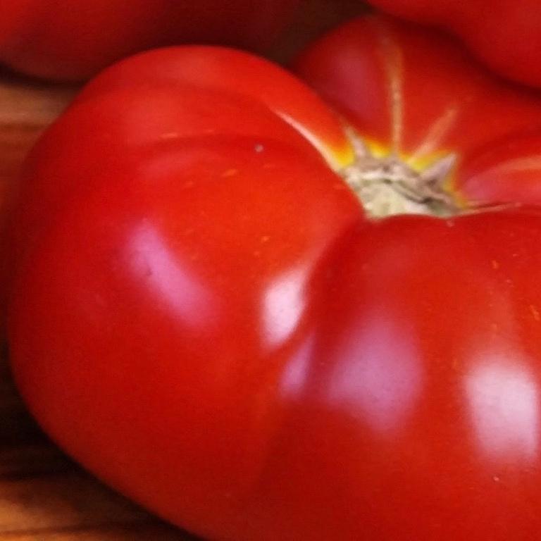Tomato, Costaluto Genovese