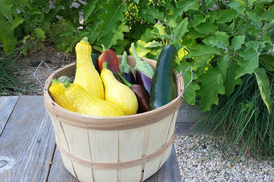 White Glove Delivery