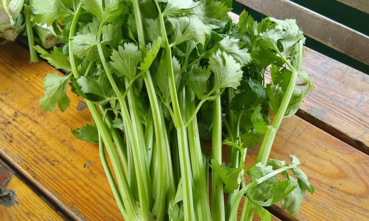 Celery