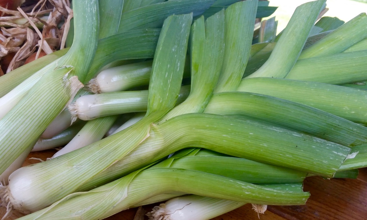 Leek