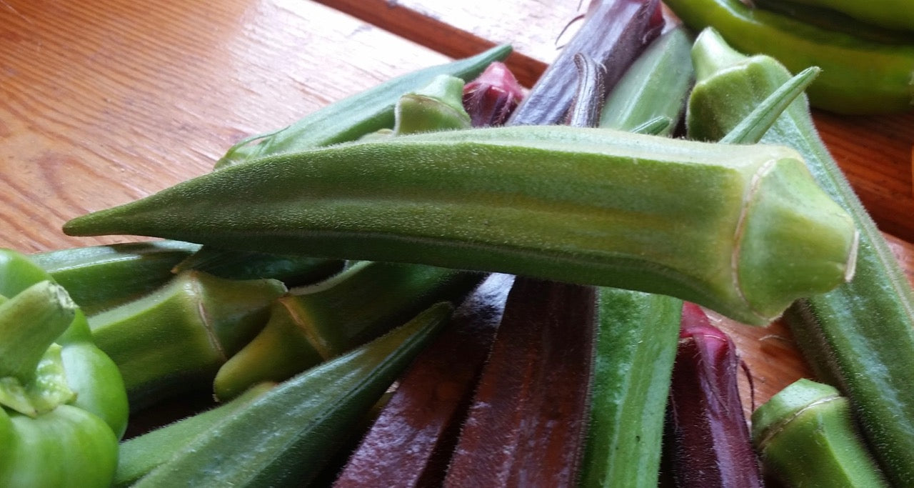 Okra