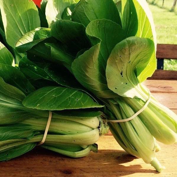 Pak Choi, Mei Qing Choi