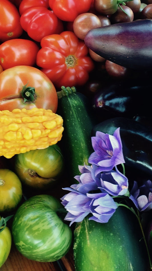 Complete Kitchen Garden