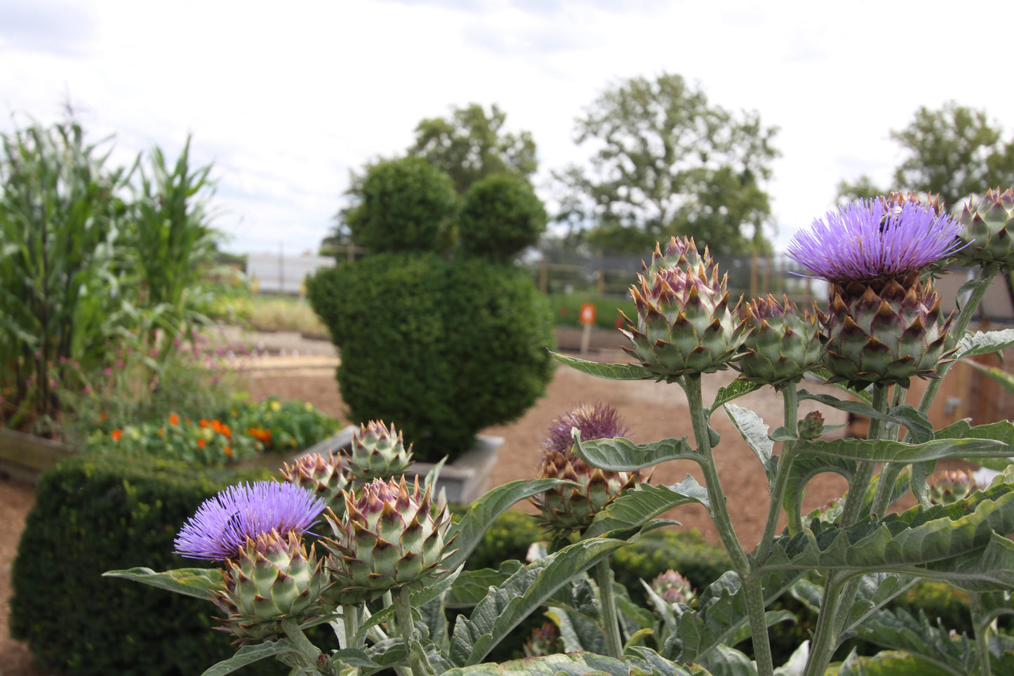 Complete Garden Care