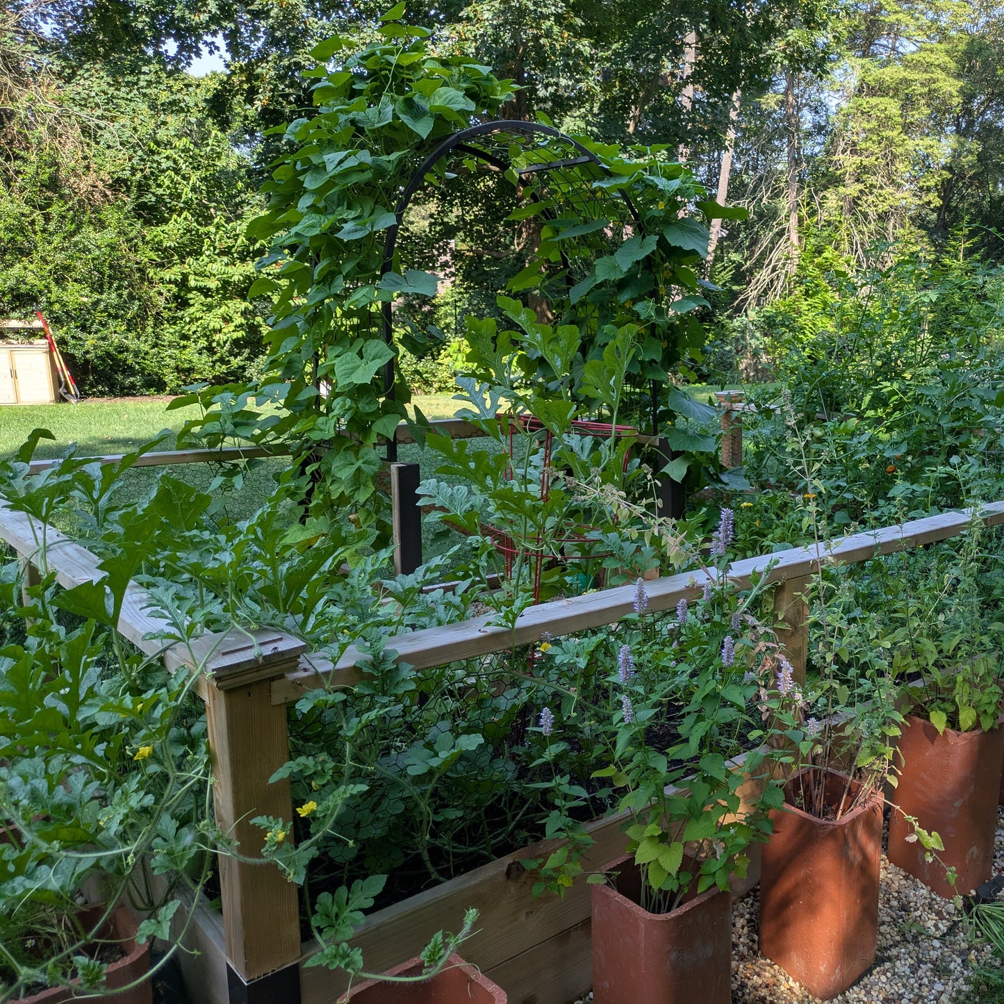 Garden Design + Build