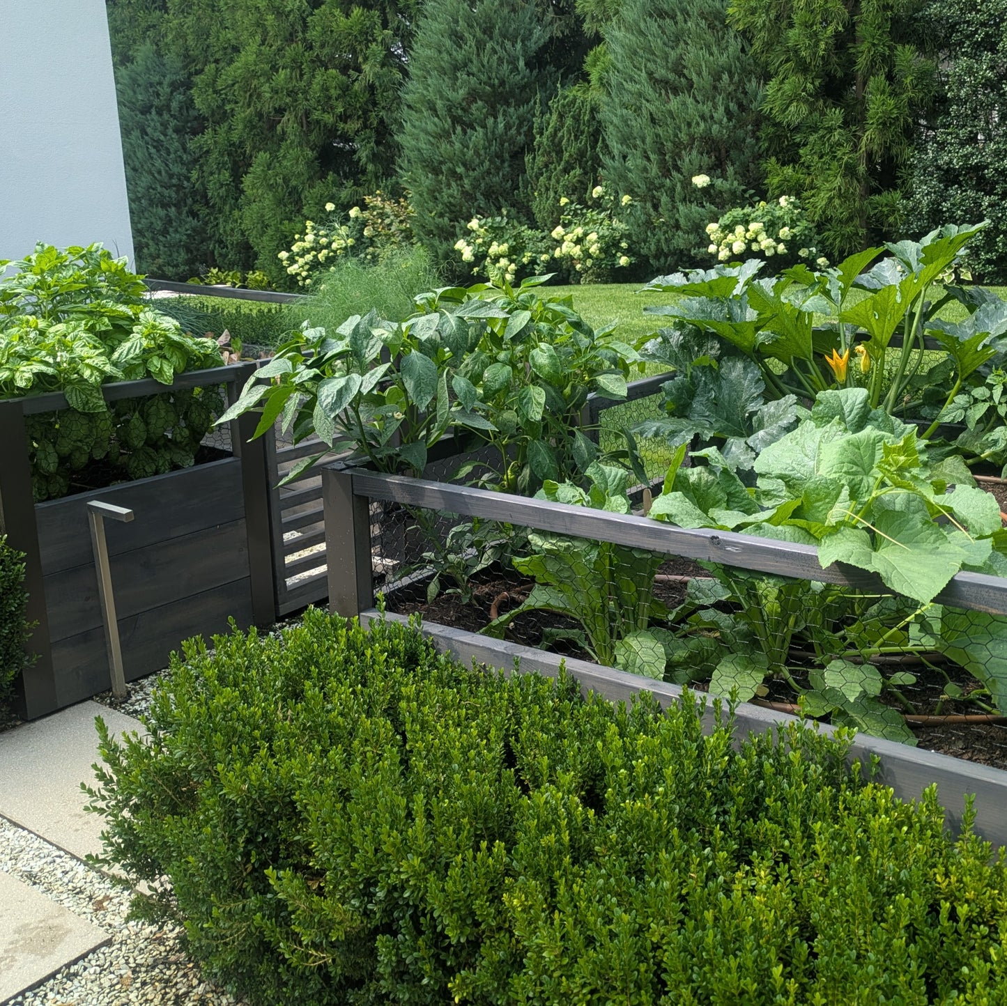 Season Starter Helper