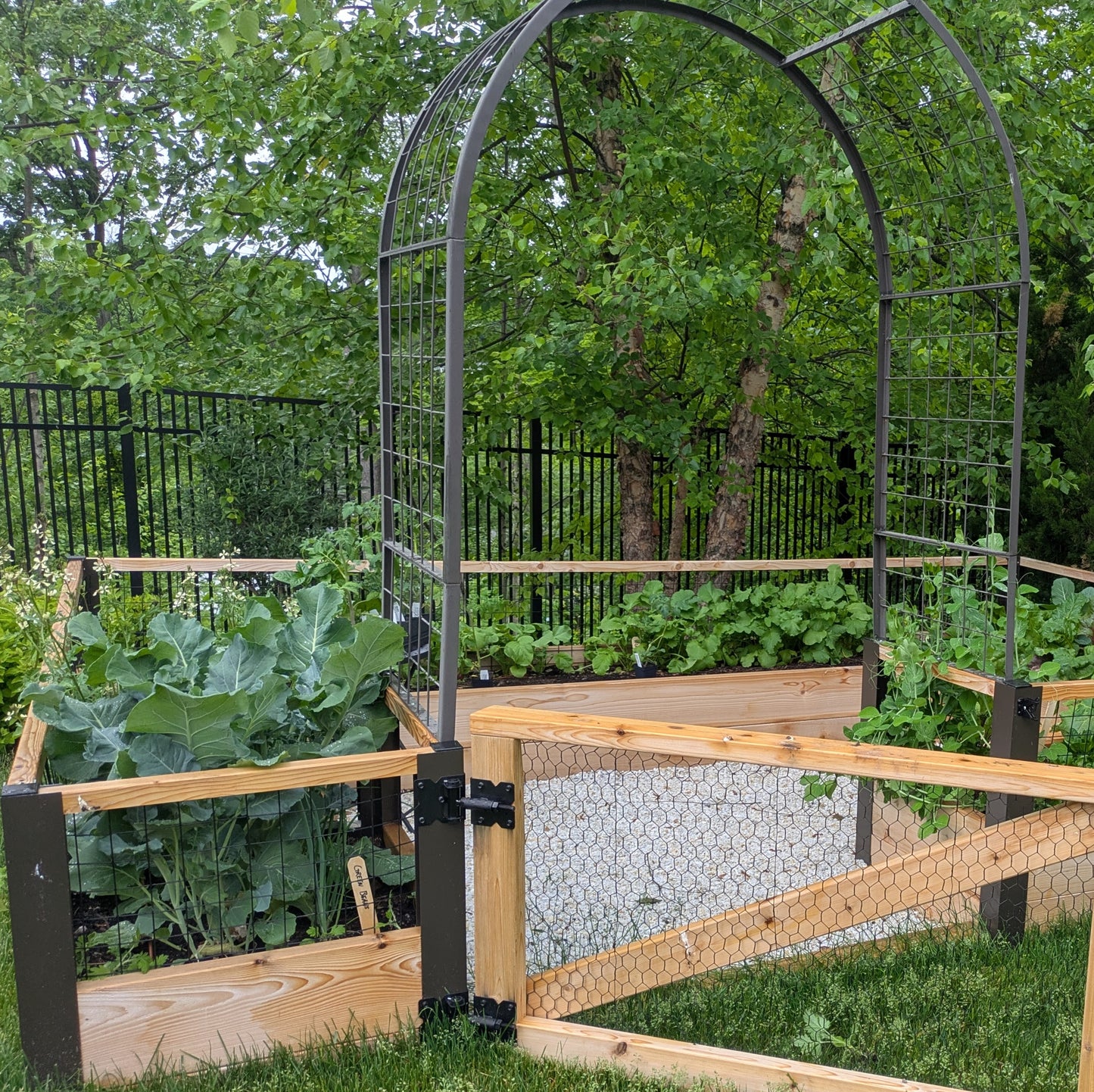 Garden Design + Build