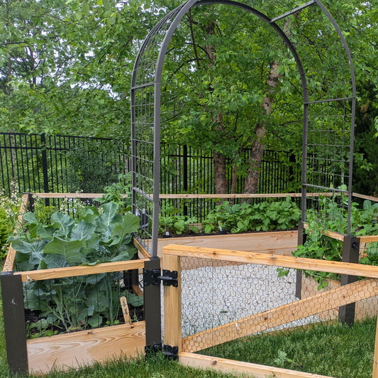 Garden Design + Build