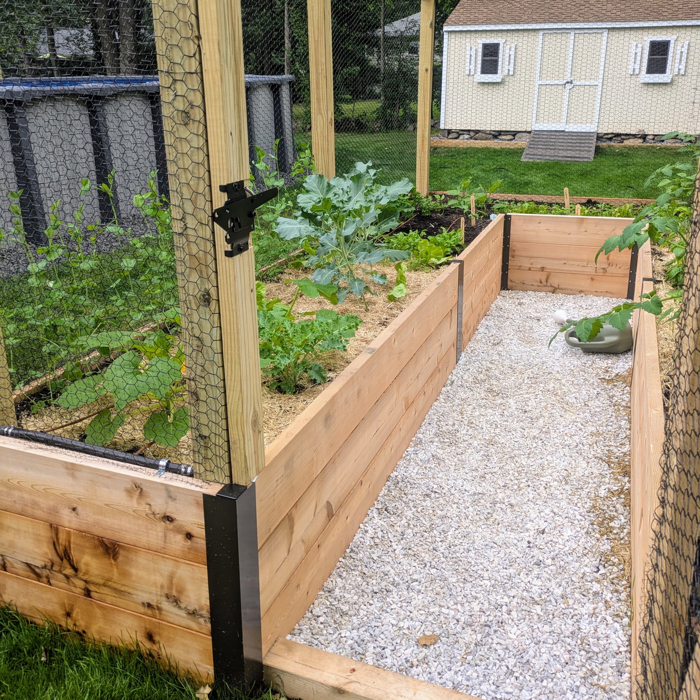 Garden Design + Build
