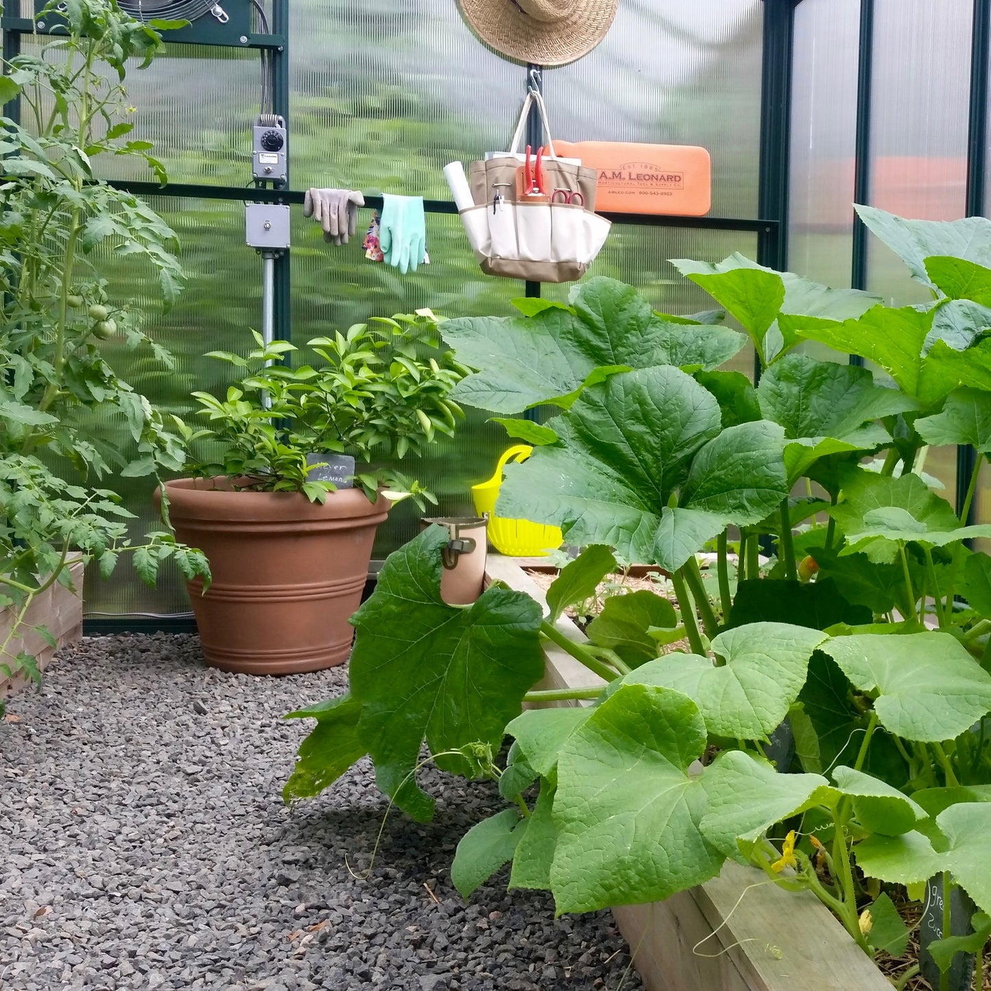 Garden Beds - Designs and Builds