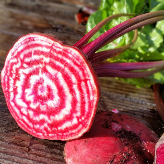 Beets, Chioggia Guardsmark