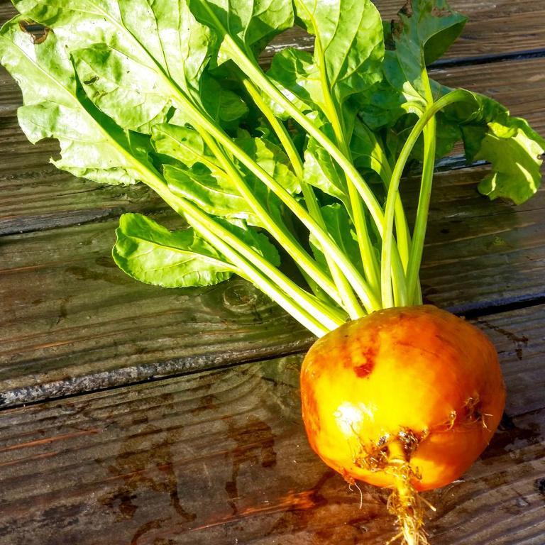 Beets, Touchstone Gold