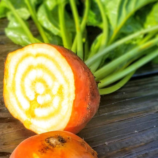 Beets, Touchstone Gold