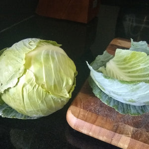 Cabbage, Golden Acre