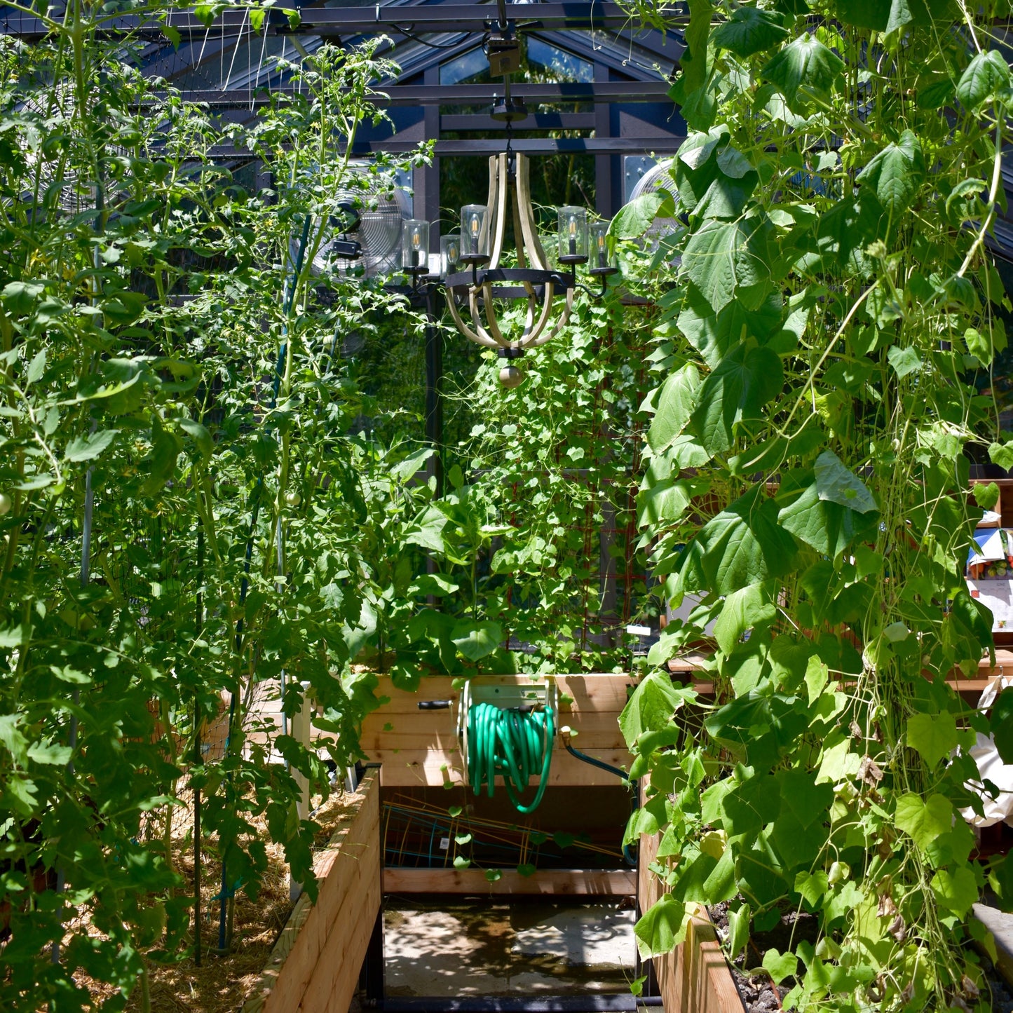 Garden Beds - Designs and Builds