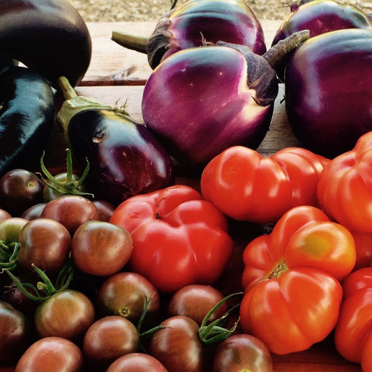 Weekly Garden Maintenance