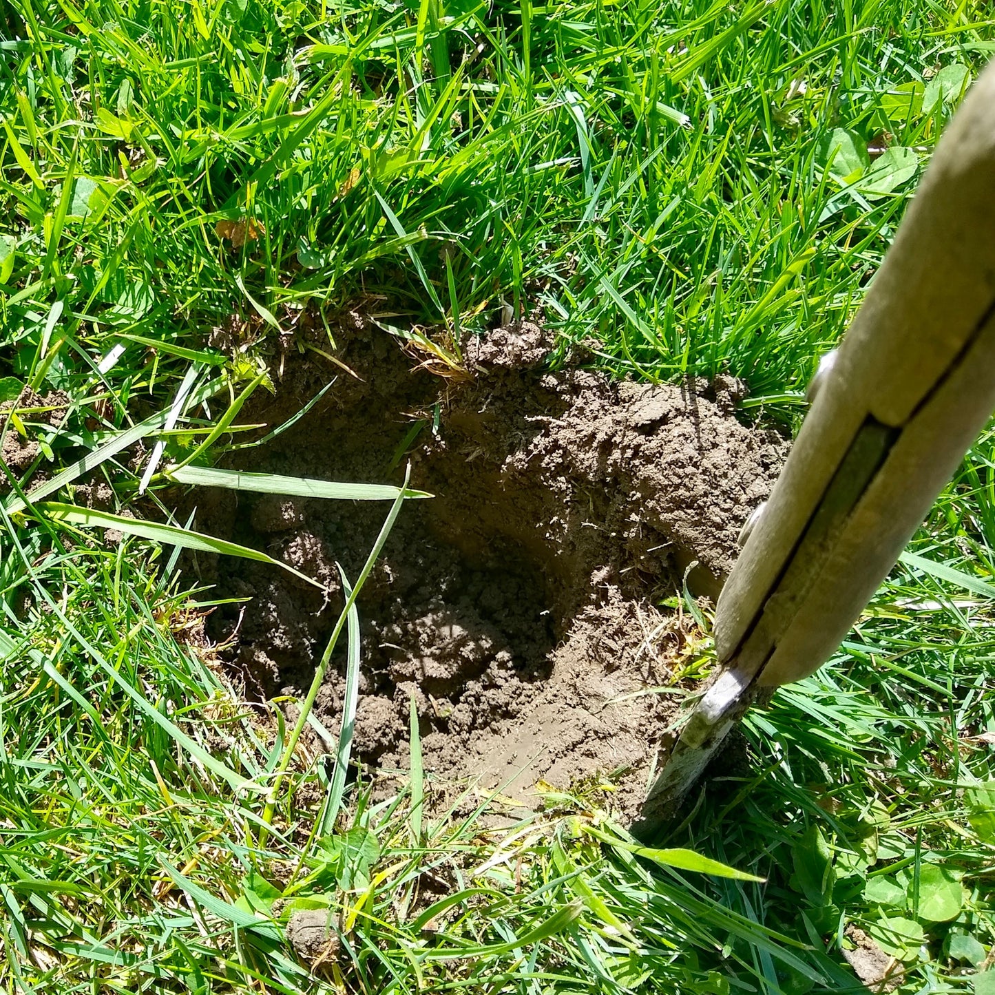 Soil Testing and Recommendation