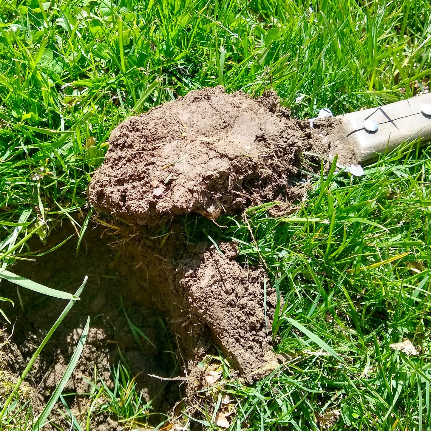 Soil Testing and Recommendation