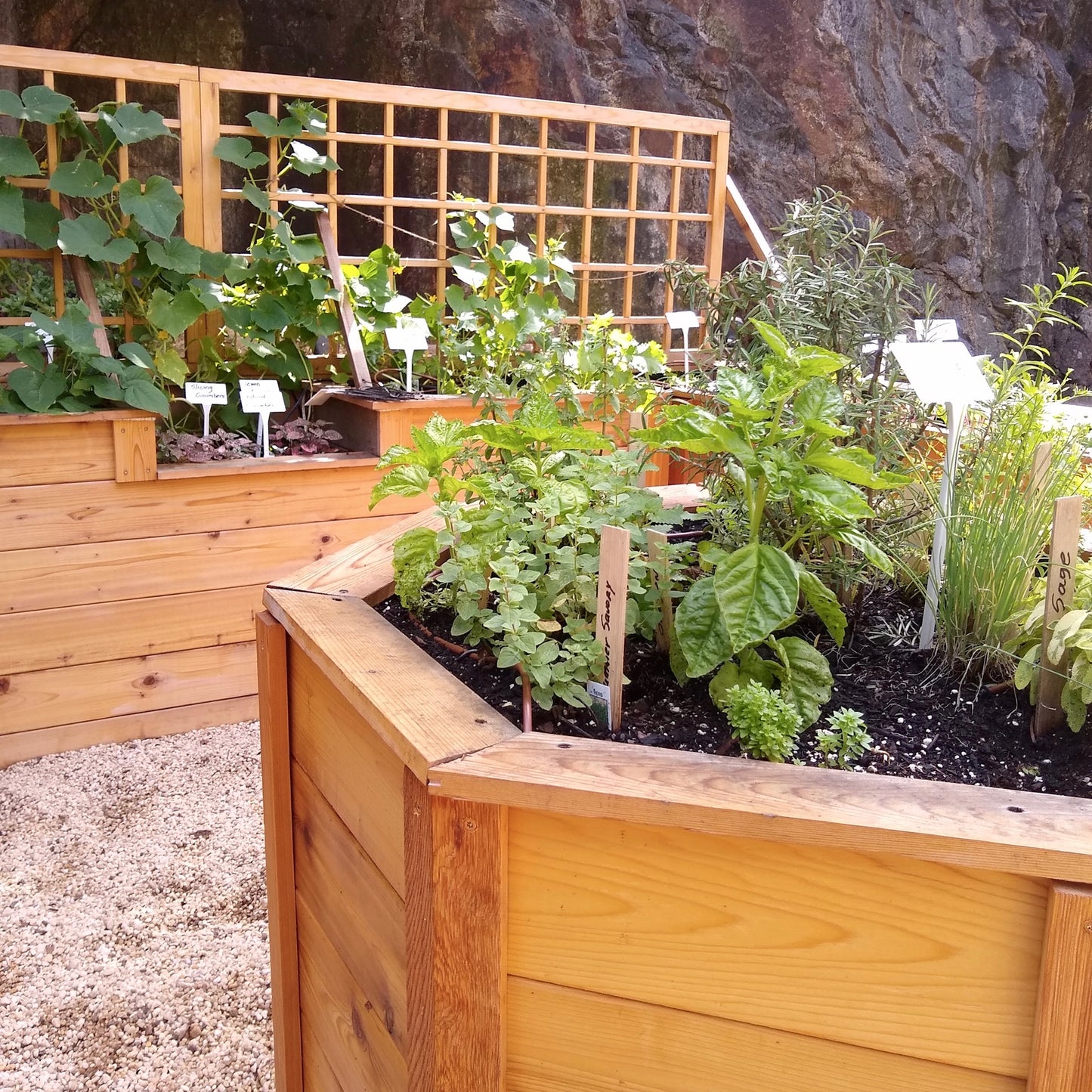Garden Beds - Designs and Builds