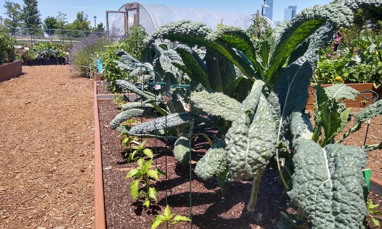 Season Starter Helper